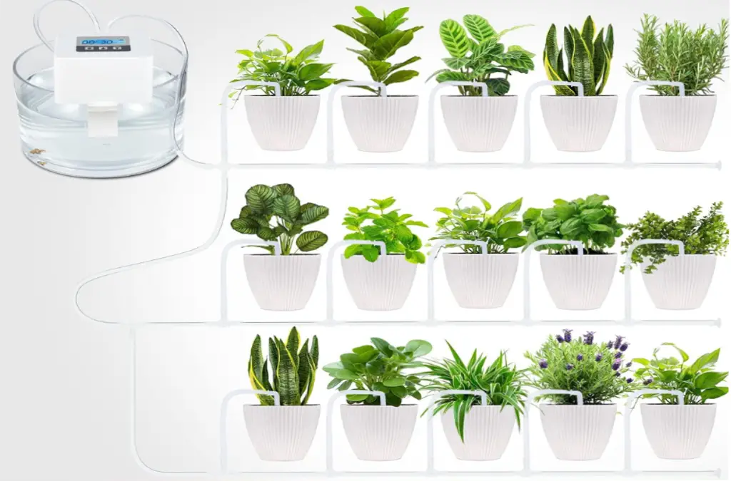 How to Water Plants While on Vacation