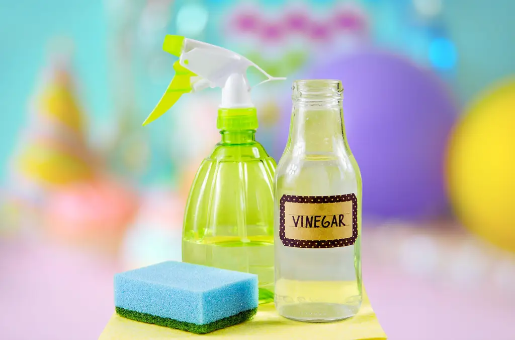 Homemade Cleaners