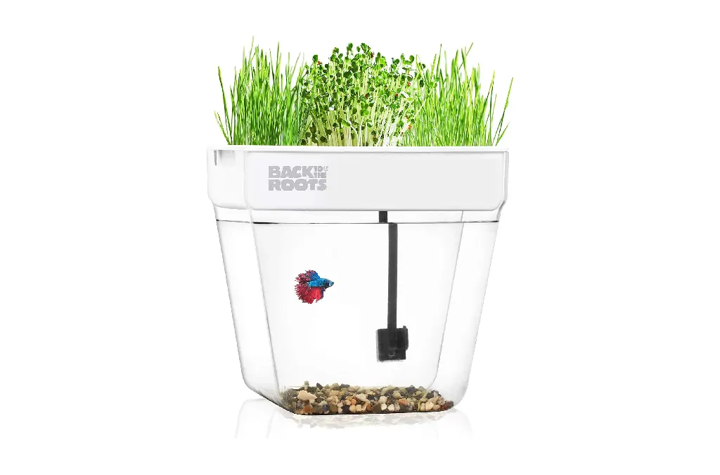 10 Best Indoor Herb Gardens, Tested and Reviewed