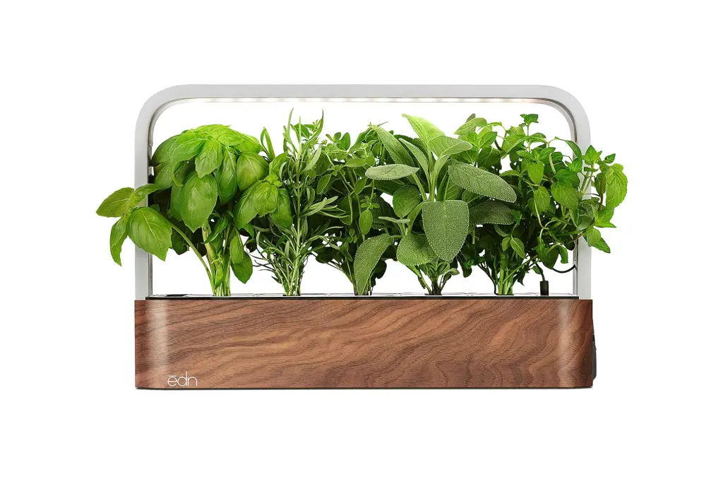 Herb Garden Starter Kit 