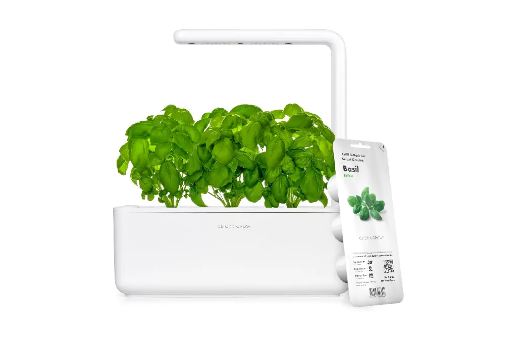 Indoor Herb Garden Starter Kit with Grow Light