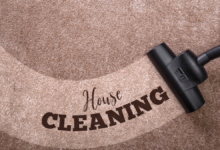 5 Best Portable Carpet Cleaners, Tested by Stain Removal Experts