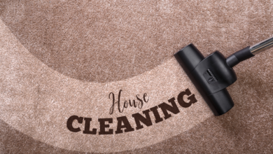 5 Best Portable Carpet Cleaners, Tested by Stain Removal Experts