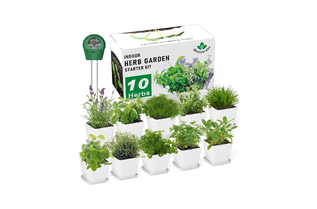 Windowsill Herb Garden Kit