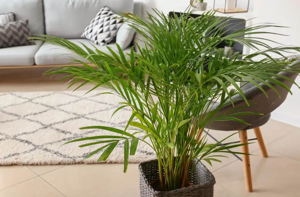 Safe Alternatives to Toxic Houseplants