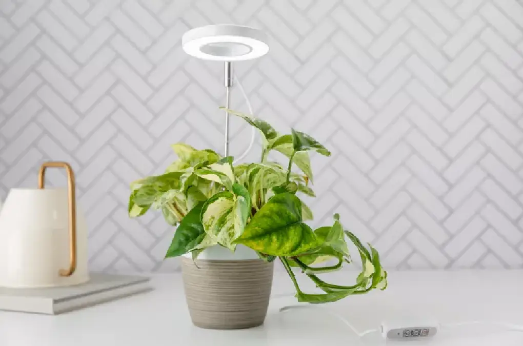 Plant Growth Lights