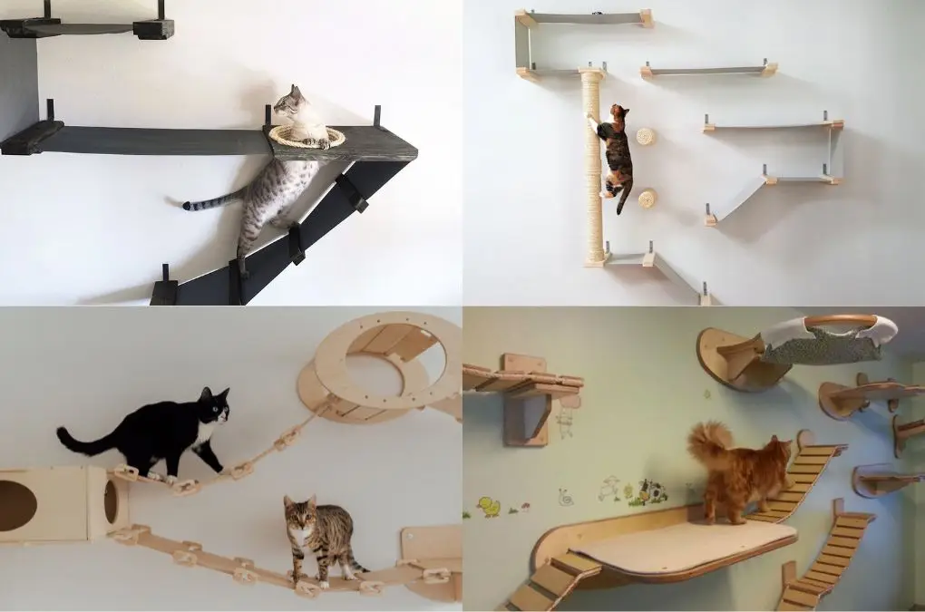 Cat Wall