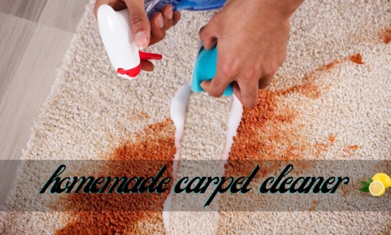 DIY Carpet Cleaner: Effective Homemade Solutions