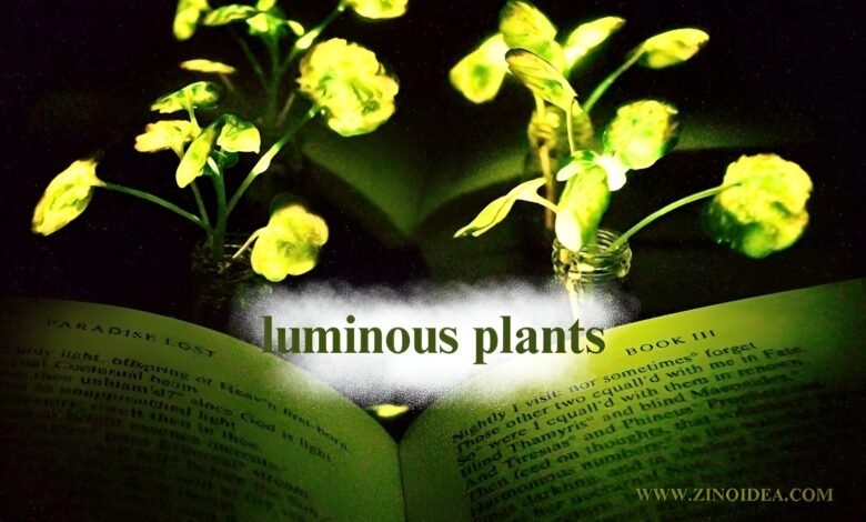 Luminous Plants