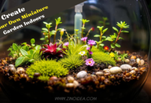 Create Your Own Miniature Garden Indoors